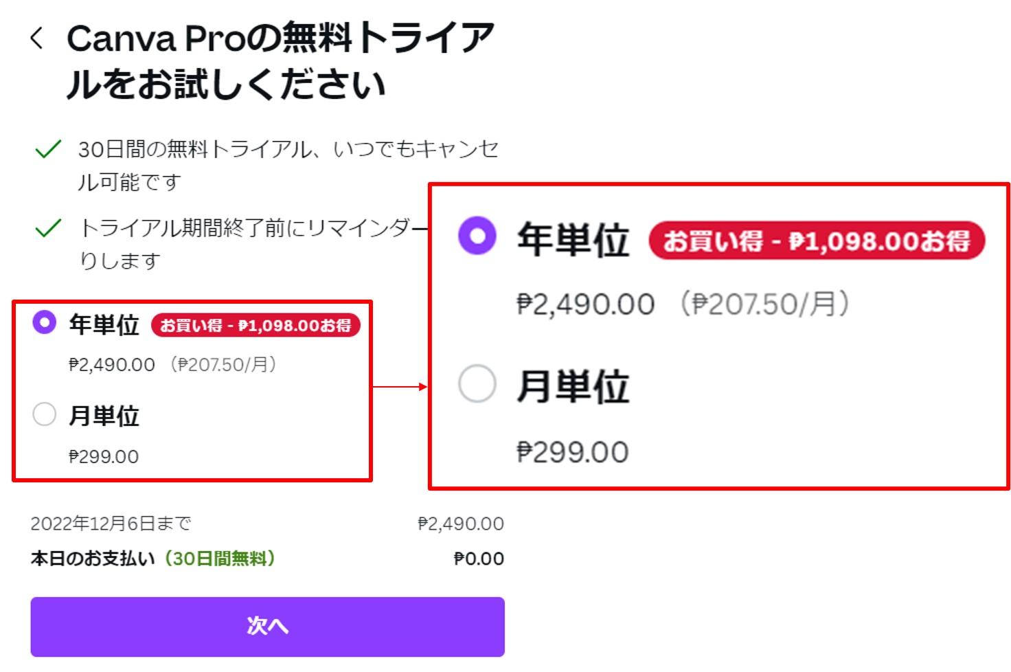 CanvaProフィリピンの価格