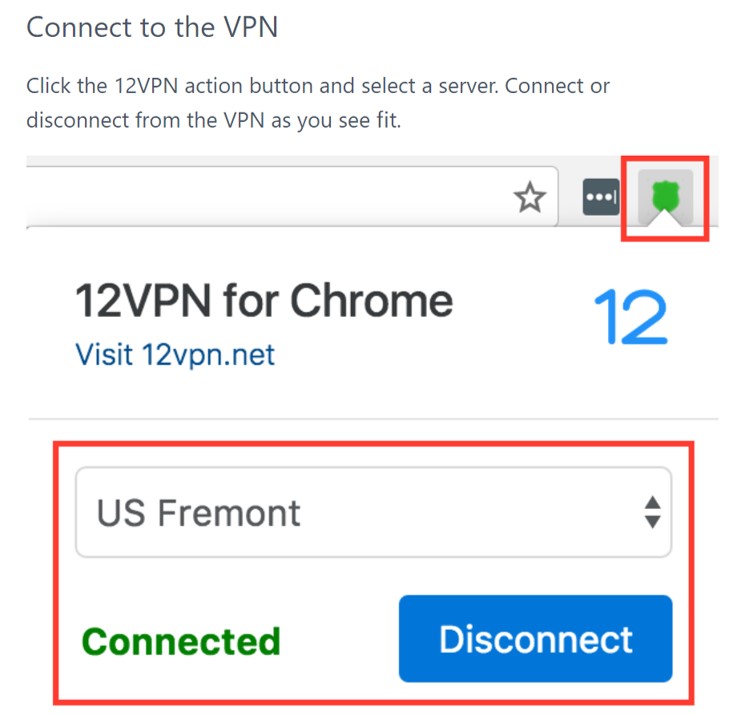 12vpn Chrome拡張機能による接続