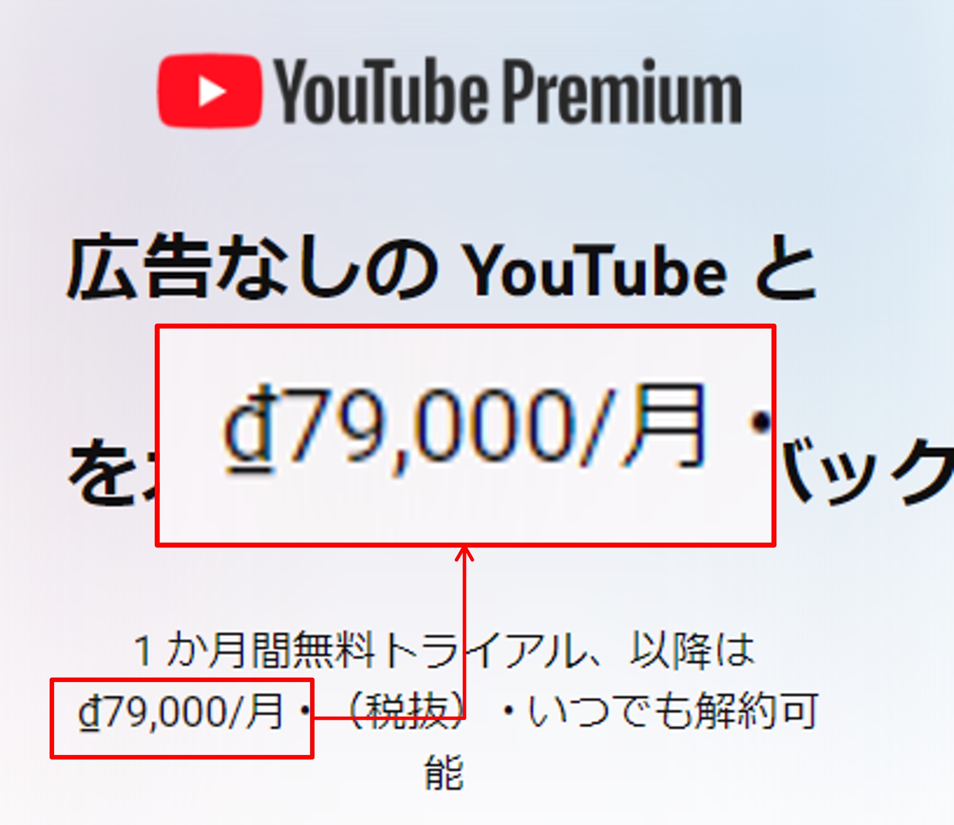 YouTube Premiumベトナムの値段